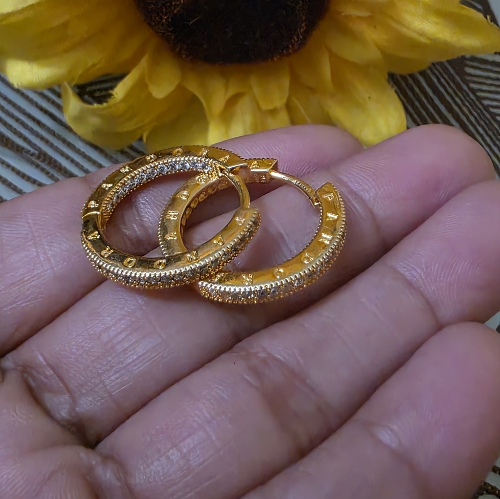 Gold Hoop Earrings-Pandora
